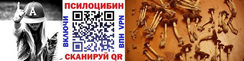 Галлюциногенные грибы Cubensis hydra сайт Будённовск где купить наркоту